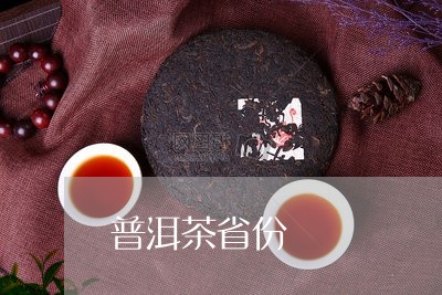 普洱茶省份/2023090533693