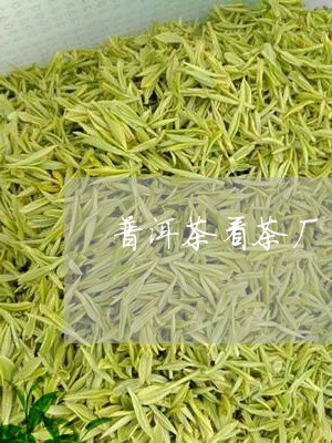 普洱茶看茶厂/2023042614100