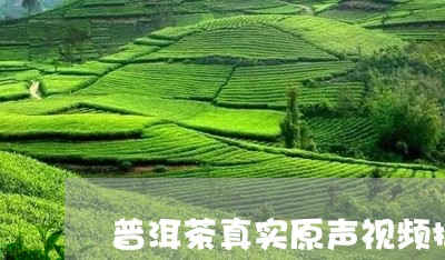 普洱茶真实原声视频播放/2023081778262