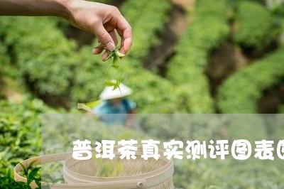 普洱茶真实测评图表图片/2023121728270