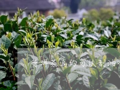 普洱茶真的可以刮油吗/2023080114025