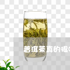 普洱茶真的很吸引人吗/2023092637073