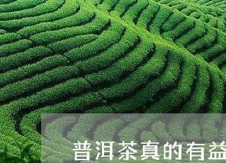 普洱茶真的有益健康吗/2023061764250