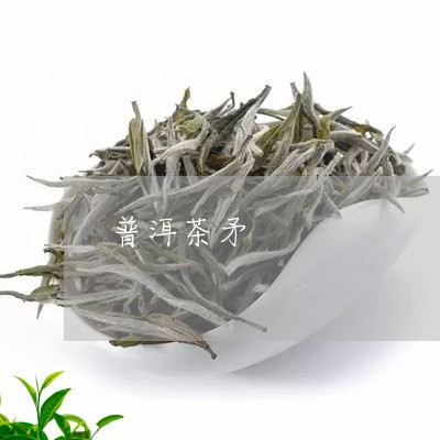 普洱茶矛/2023121894036