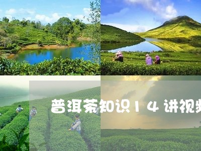 普洱茶知识14讲视频/2023100780616