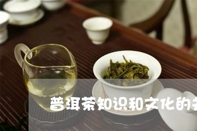 普洱茶知识和文化的关系/2023110359385