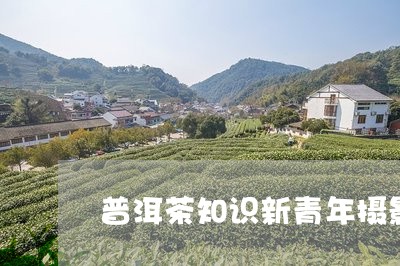 普洱茶知识新青年摄影/2023073194037