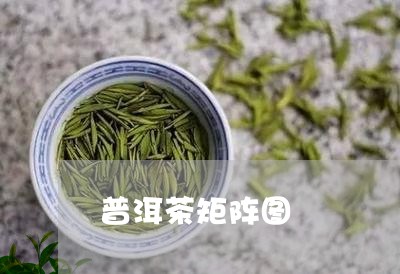 普洱茶矩阵图/2023042732512