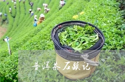 普洱茶石头记/2023042569243