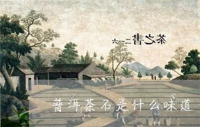 普洱茶石是什么味道/2023120458482