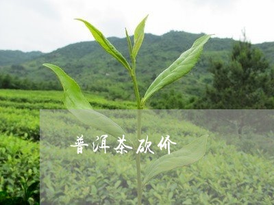 普洱茶砍价/2023090597157