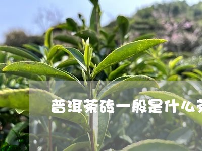 普洱茶砖一般是什么茶/2023092928261