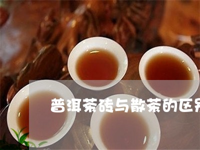 普洱茶砖与散茶的区别/2023062346060