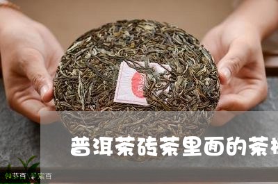 普洱茶砖茶里面的茶梗/2023093089706