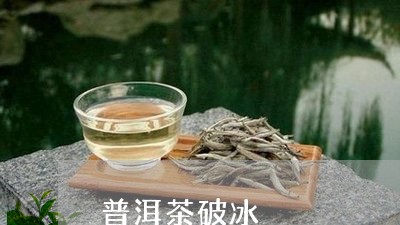 普洱茶破冰/2023090548493