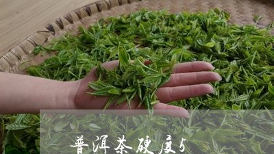 普洱茶硬度5/2023042730776