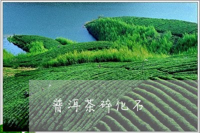 普洱茶碎化石/2023042756964