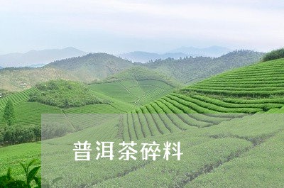 普洱茶碎料/2023090558472