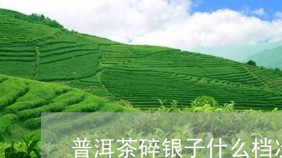 普洱茶碎银子什么档次/2023080239603