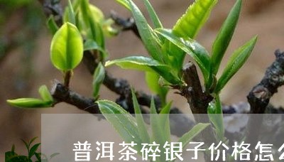 普洱茶碎银子价格怎么差距那么大/2023060248371