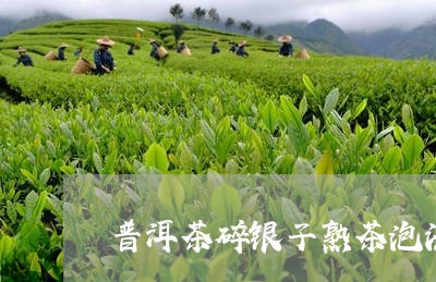 普洱茶碎银子熟茶泡法/2023062367371