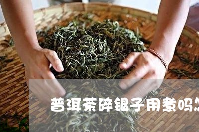 普洱茶碎银子用煮吗怎么煮/2023112587161