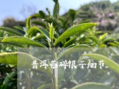 普洱茶碎银子细节/2023102633605