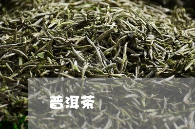 普洱茶磚/2023083147040