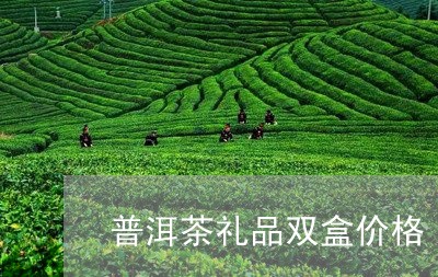 普洱茶礼品双盒价格/2023071158404