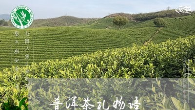 普洱茶礼物语/2023042671584