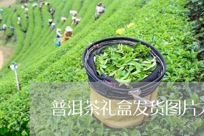 普洱茶礼盒发货图片大全/2023121793915