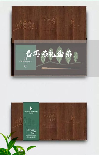 普洱茶礼盒茶/2023042860978