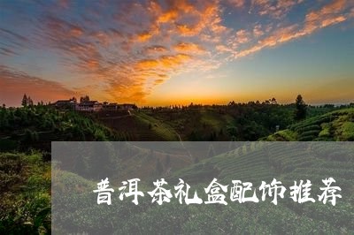 普洱茶礼盒配饰推荐/2023121790813