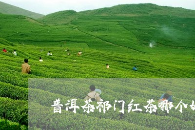 普洱茶祁门红茶哪个好/2023100718282