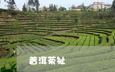 普洱茶祉/2023083185835