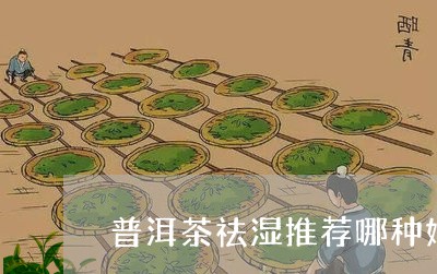 普洱茶祛湿推荐哪种好点/2023110734814