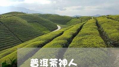 普洱茶神人/2023090589480