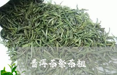 普洱茶祭茶祖/2023042804428