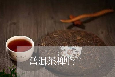 普洱茶禅心/2023090590946