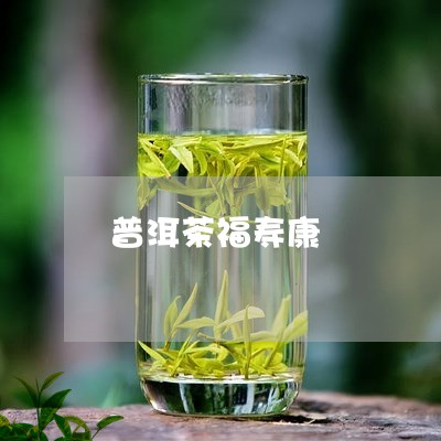 普洱茶福寿康/2023042710594