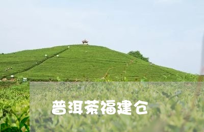 普洱茶福建仓/2023042825195