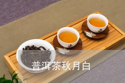 普洱茶秋月白/2023081569574