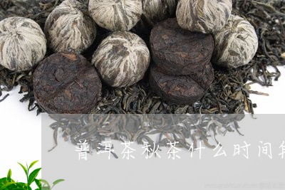 普洱茶秋茶什么时间段/2023062214938