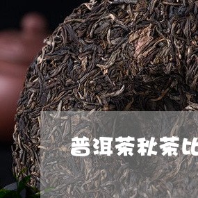 普洱茶秋茶比春茶好吗/2023100726150