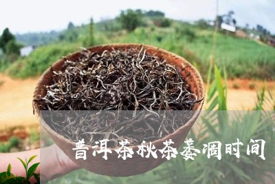 普洱茶秋茶萎凋时间/2023120513704