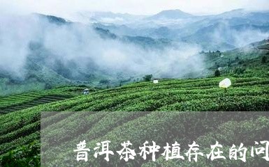 普洱茶种植存在的问题/2023061413838