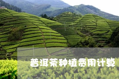 普洱茶种植费用计算/2023110745949