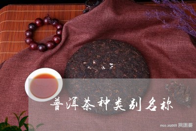 普洱茶种类别名称/2023110755146