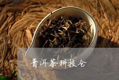 普洱茶科技仓/2023042763181