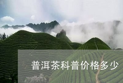 普洱茶科普价格多少/2023083077383